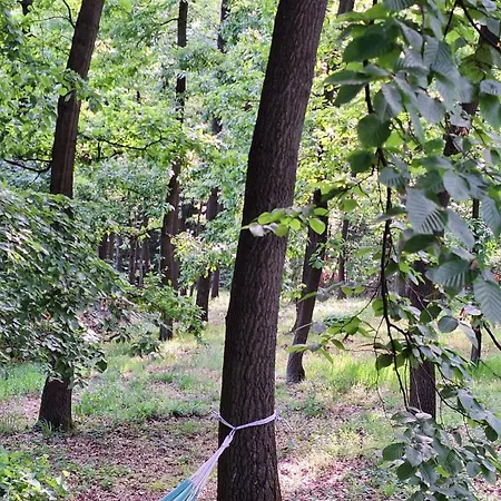 Vikendica Woodnook Kosmaj - Sumski Kutak Holiday home