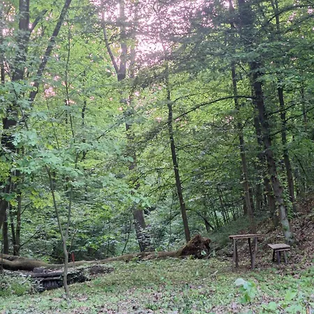 Vikendica Woodnook Kosmaj - Sumski Kutak *