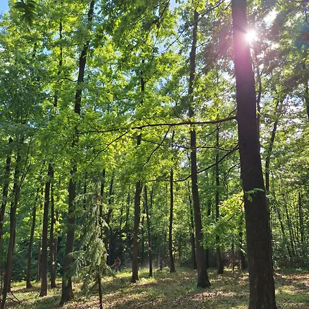 Vikendica Woodnook Kosmaj - Sumski Kutak * Sopot