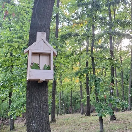 Holiday home Vikendica Woodnook Kosmaj - Sumski Kutak